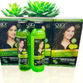 Quick Shine Hair Color